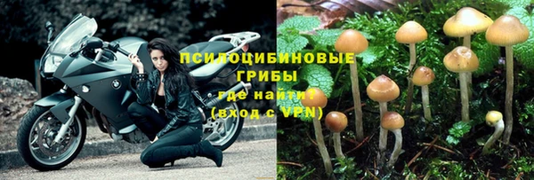 мяу мяу мука Арсеньев