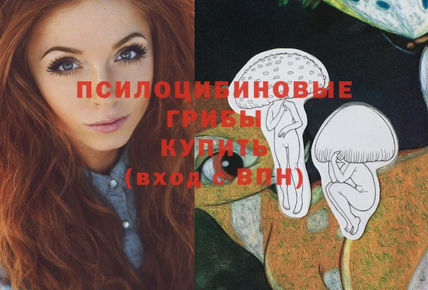 мяу мяу мука Арсеньев