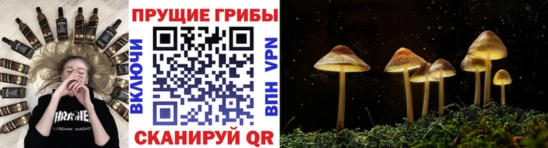 Псилоцибиновые грибы Magic Shrooms Льгов